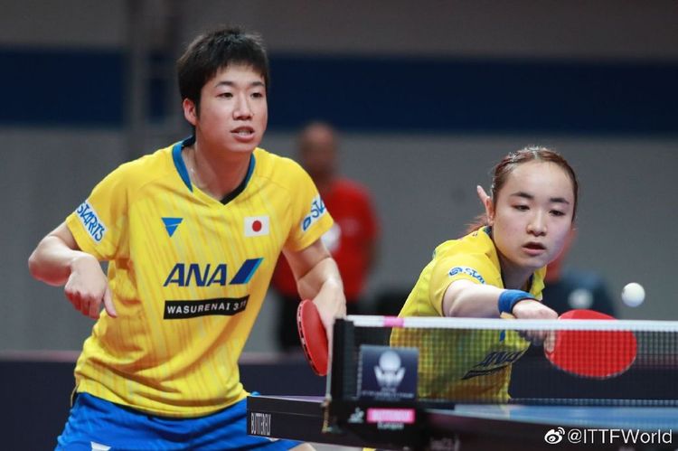 多元化的冠 多元化的冠