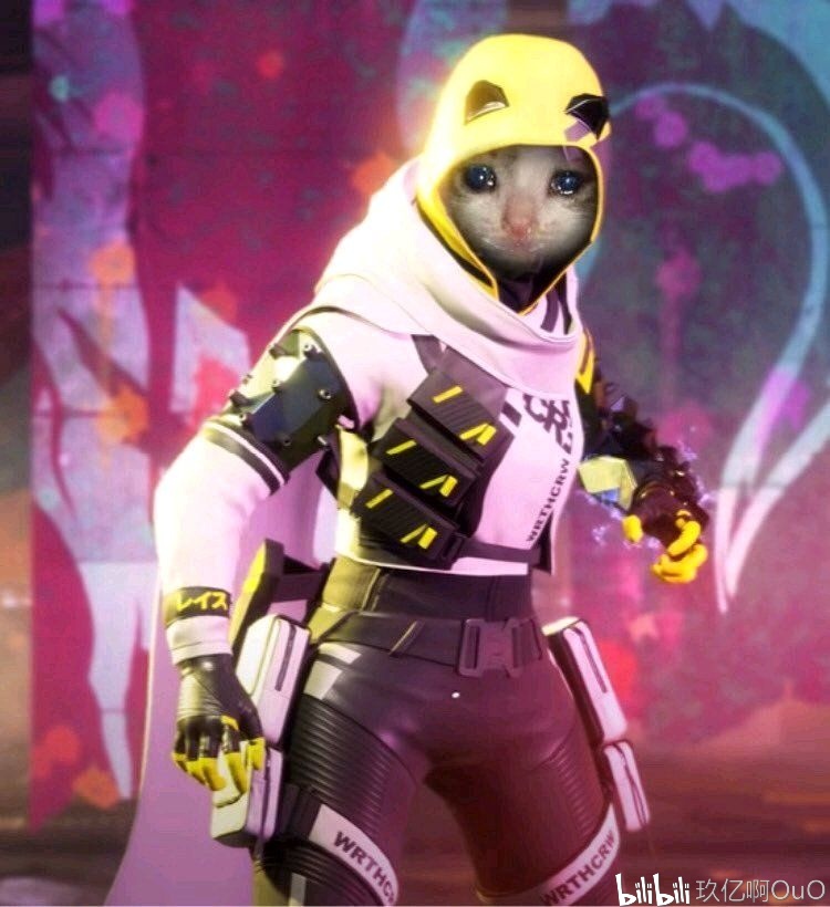 的单防框架 的单防框架